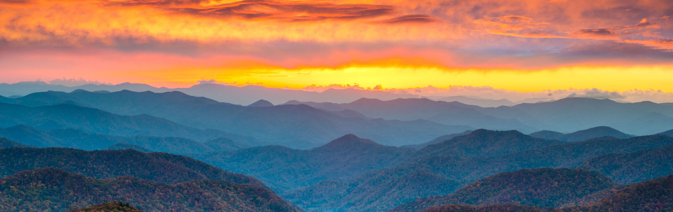 Elizabeth A Brown CPA PC Accountant/Accounting & Bookkeeping Services